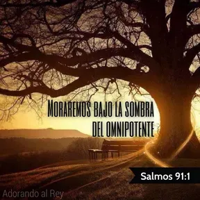 Bajo la Sombra del Omnipotente