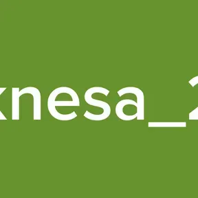 knesa_2
