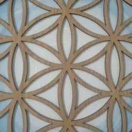 SN 306: La Armonía Cósmica