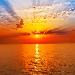 Rise and Shine