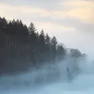 Throughline Sleeps