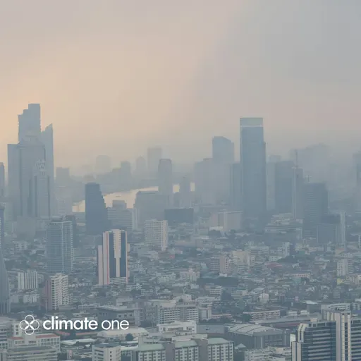 Cause of Death: Air Pollution