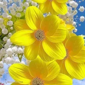 AROMA DE CANELA