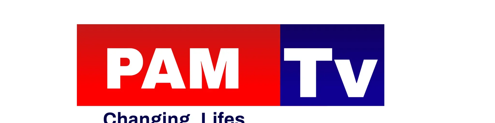 Public Access Media