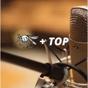 Zika-Mais-Top