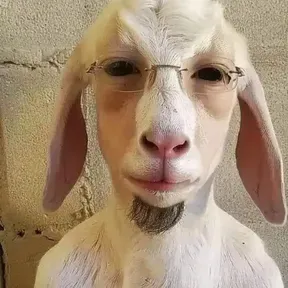 aaadsaxd
