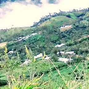 Cumbia surena
