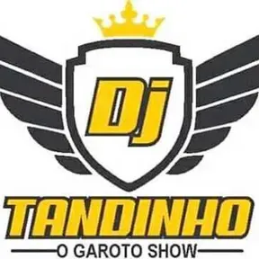 DJ TANDINHO O GAROTO SHOW