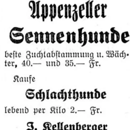 BGE 39 I 407 - Hundemetzgerei