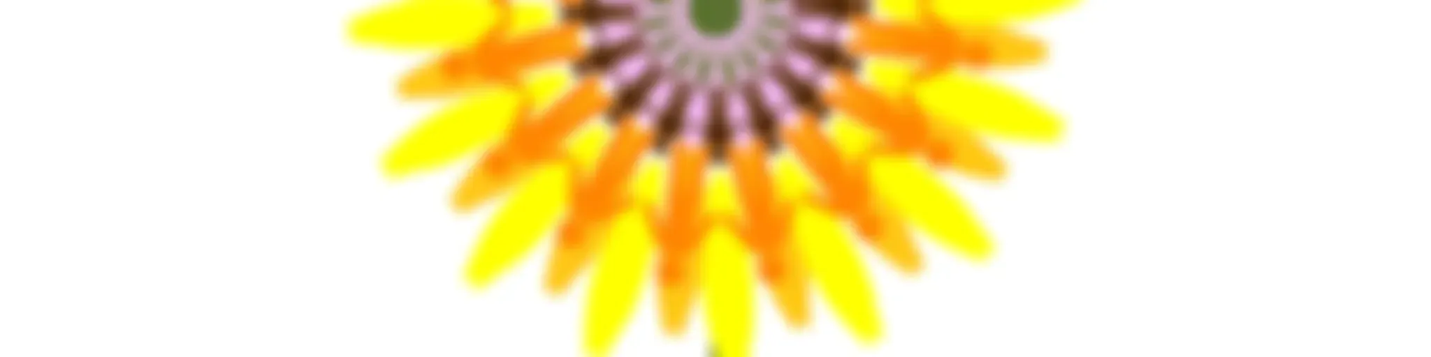 Evangelho do Coletivo Girassóis: Espíritas Pelo Bem Comum