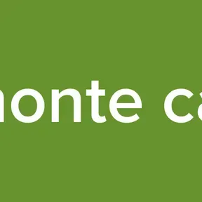 radio monte carlo sur