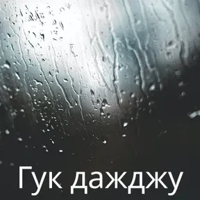 Гук дажджу