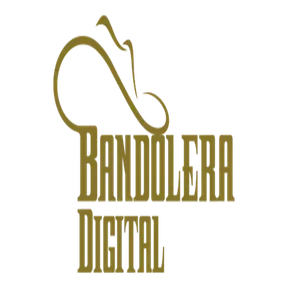 BANDOLERA 14-10