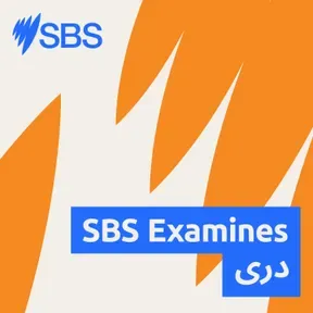 SBS Examines درى