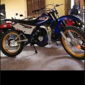 Ultra Fiel