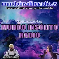 650/10. Experiencias cercanas a la muerte. Dios según los espíritas. Encuentro UFO inesperado. La guerra sin fin.
