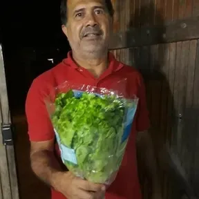 Michilito