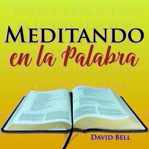 MelP_335-Numeros_22_13