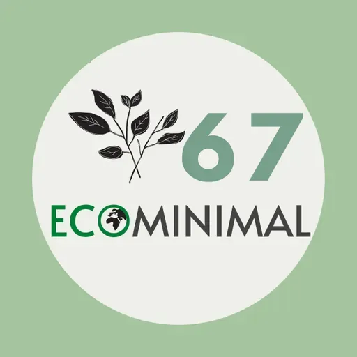 67. Mi mudanza ecominimalista