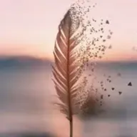 🌿🤍