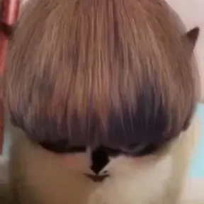 Alberto