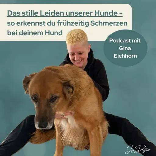 Das stille Leiden unserer Hunde - So erkennst du frühzeitig Schmerzen bei deinem Hund