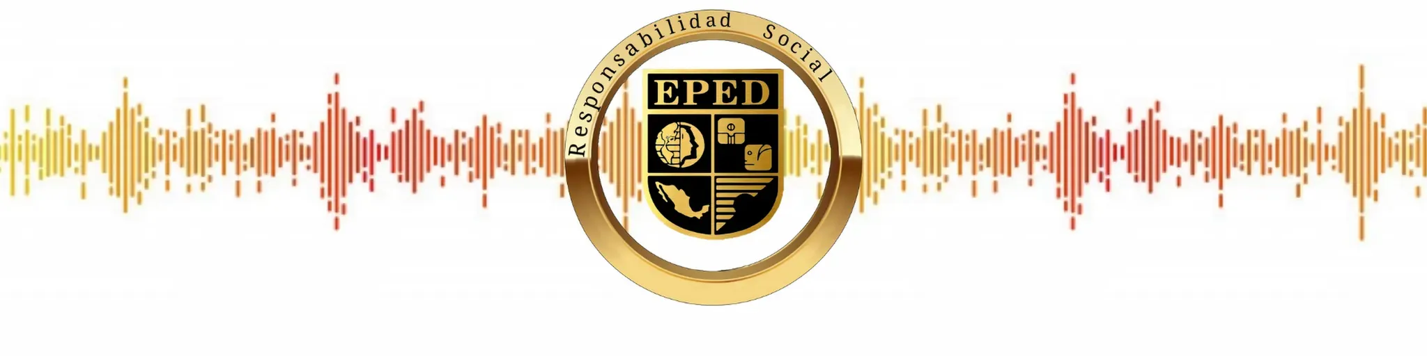 Licenciatura 12
