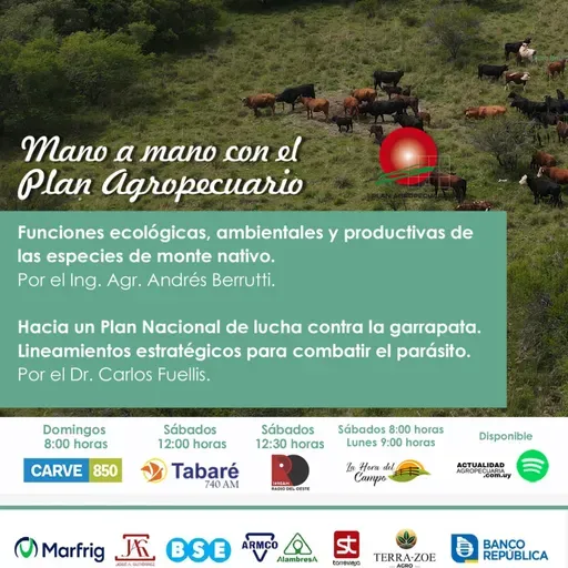 Especies de monte nativo. Garrapata.