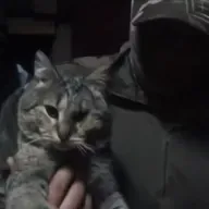 This is Russians