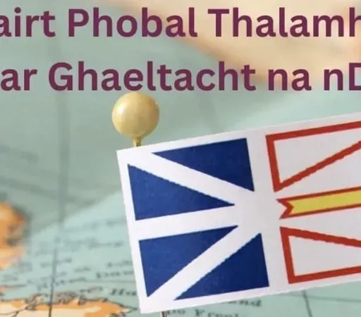 Cecily Ní Loinnsigh