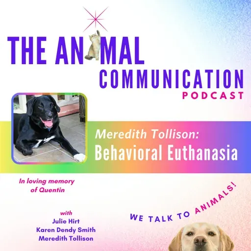 Behavioral Euthanasia