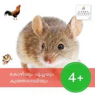 കോഴിയും പൂച്ചയും കുഞ്ഞനെലിയും
