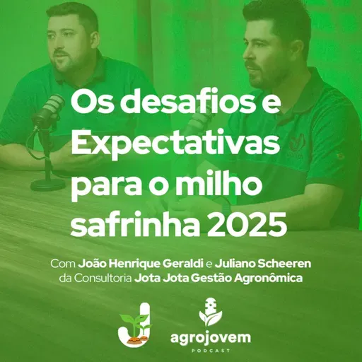 Safra de Soja 2025: Desafios, Rentabilidade e o Futuro do Milho Safrinha! 🌱🚜
