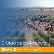 Episodio nº 55: “El futuro de la olivicultura”, Especial Demoolivo 2021. Segunda parte.