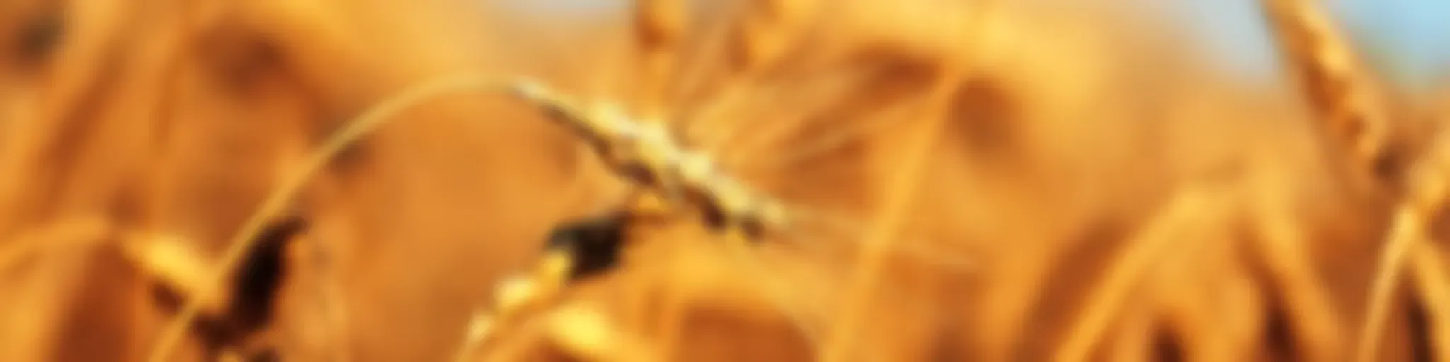 Sermons on the Mount