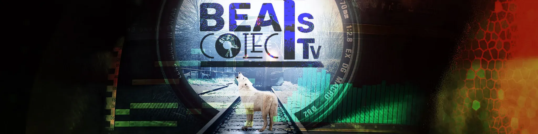 Beats Collective
