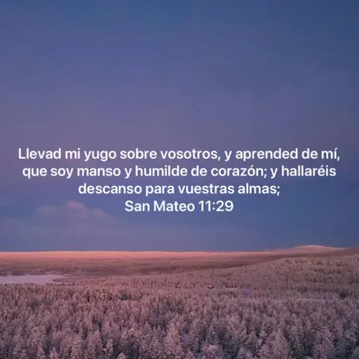BIENAVENTURADOS LOS MANSOS (E1858).