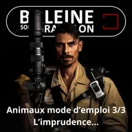 S07E61 Animaux mode d'emploi 3/3 : Prospérité, imprudences et donc... cicatrices (Yvan Kereun)