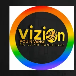 vizion poun vanse