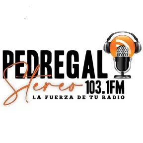 Pedregal stereo 103.1fm