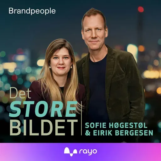 383: Det store bildets sommerskole