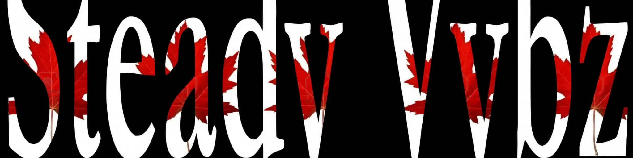 SteadyVybz Radio