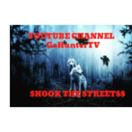 BOOSIE ON VLADTV NIPSEY USE TO PROTECT HIM IN L.A