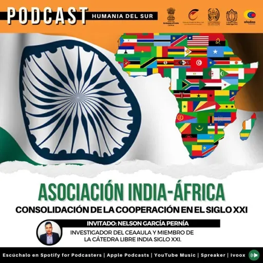 Asociación India-África. Consolidación de la cooperación en el siglo XX