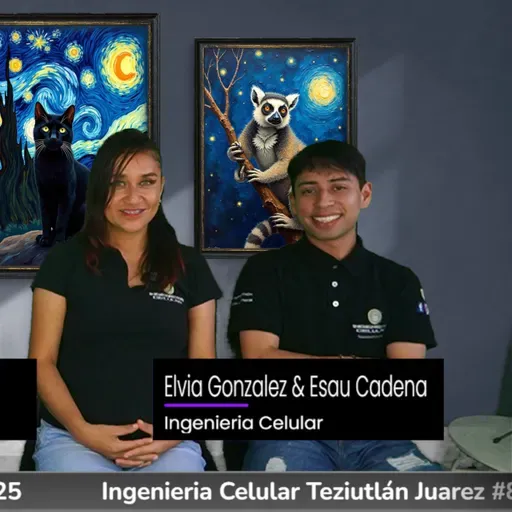 Entrevista con Elvia González Ortega – Ingeniería Celular Teziutlán 📱🔧