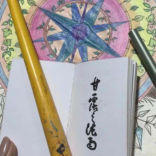 #108 - Domingos de Seicho No Ie