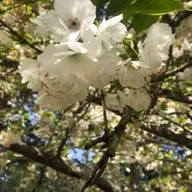 9   گر ماه من برافکند از رُخ نقاب را