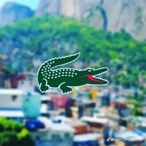 Gauchada