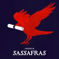 18: SASSAFRAS