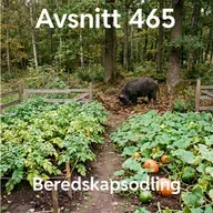 465. Beredskapsodling
